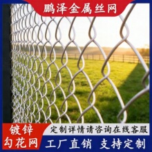 �S�ҹ����BֳȦ��С�^ͥԺ���@����@�ߠ���������ھW�F�z