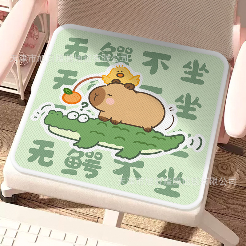 악어 없음