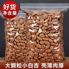 小白杏新货开口杏仁大杏仁坚果手剥零食杏核特产干果炒货非巴旦木