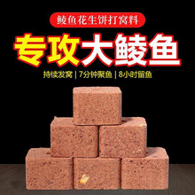 �N�~������K�C�ϻ�����C�����N���K�����h�����