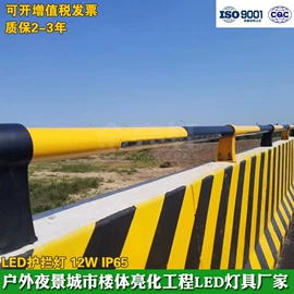 其他室外照明;投射灯;投光灯