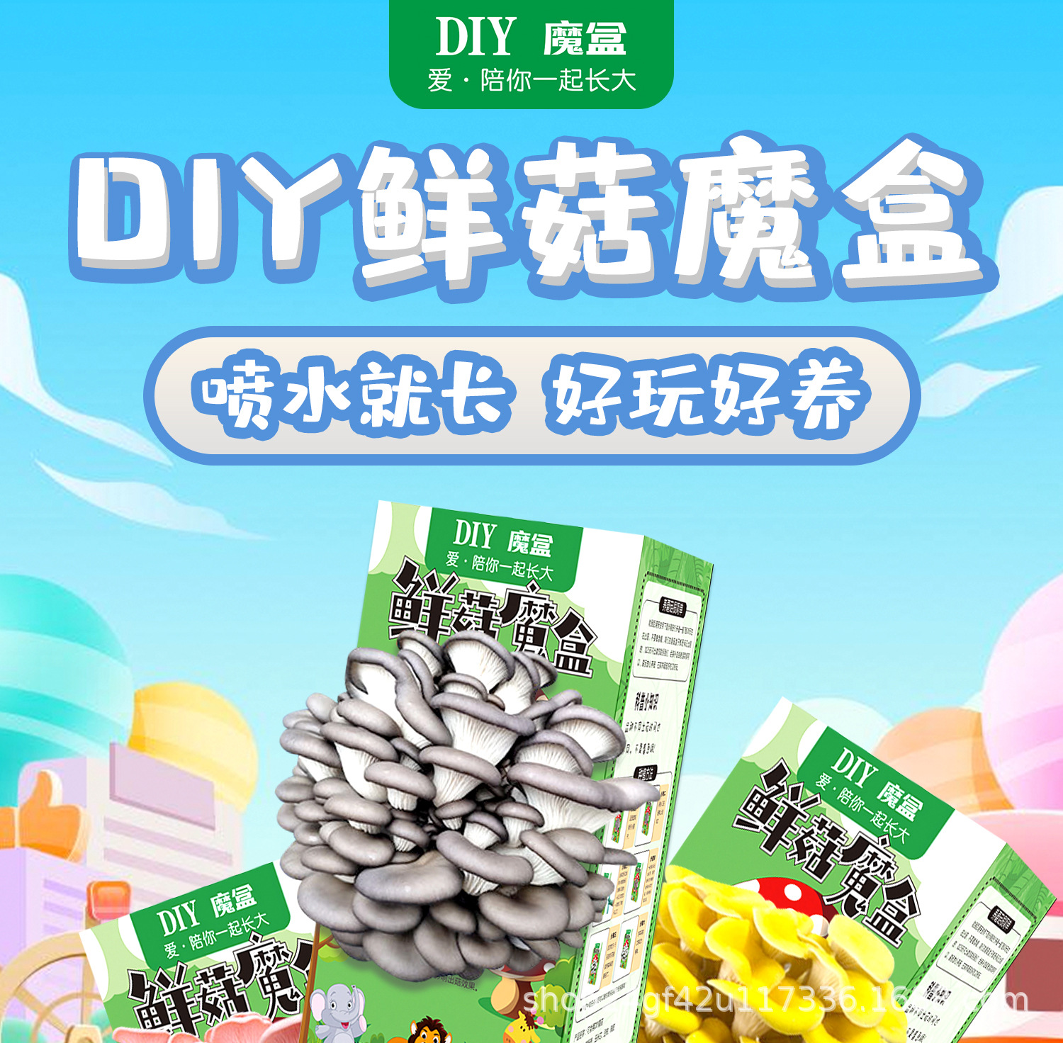 详情图