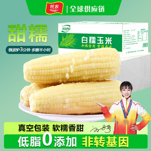 ��Ŵ������հ��b���r������װ��ǖ|��ճ����0������ʳ�ӟἴʳ