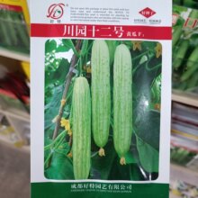 �Ĵ����ش��@ʮ��̖�S�ϷN������G��ɫ���L25cm���＾��