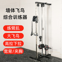 跨境爆款墙体飞鸟综合训练器 高位低拉扩胸器 多功能组合健身器材