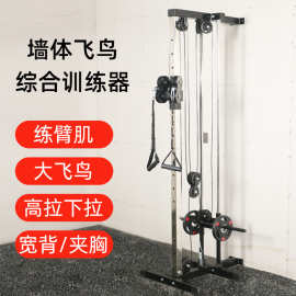 跨境爆款墙体飞鸟综合训练器 高位低拉扩胸器 多功能组合健身器材