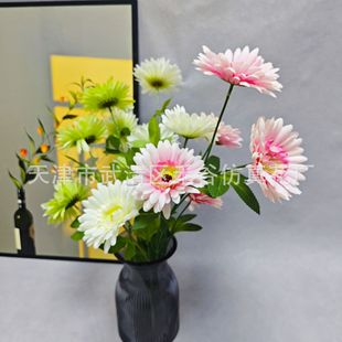 5�^ �ذ� ���޾� �����r�� ���� ��ˇ ɳ�� ƿ�� ���� ���@�r�л�