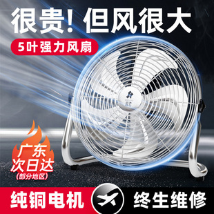 ��녹��I��L��̨ʽ���L��ſ���ȼ��Ï������ʼ��~�����������