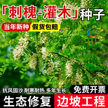 ̻No¹ѲݷN׻̻㻨뻱󻱻N