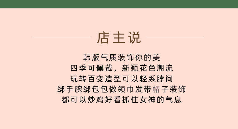 欧美纯色字母细长款气质小领巾长条丝巾女百搭双面飘带春秋季配饰详情8