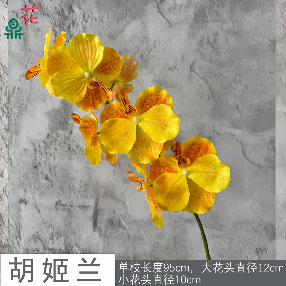 Hoa lan WY màu vàng
