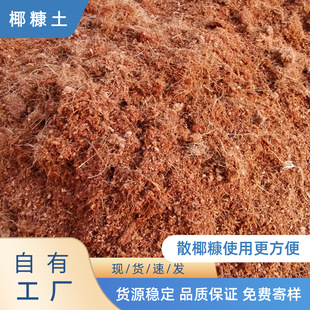 ���l����������Ҭ���I�B��ͨ����������|���ܷNֲ����̿��Ҭ����