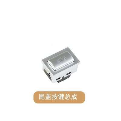 Replacement Assembly, Cab and accessories - tail-cap-button-assembly-silver