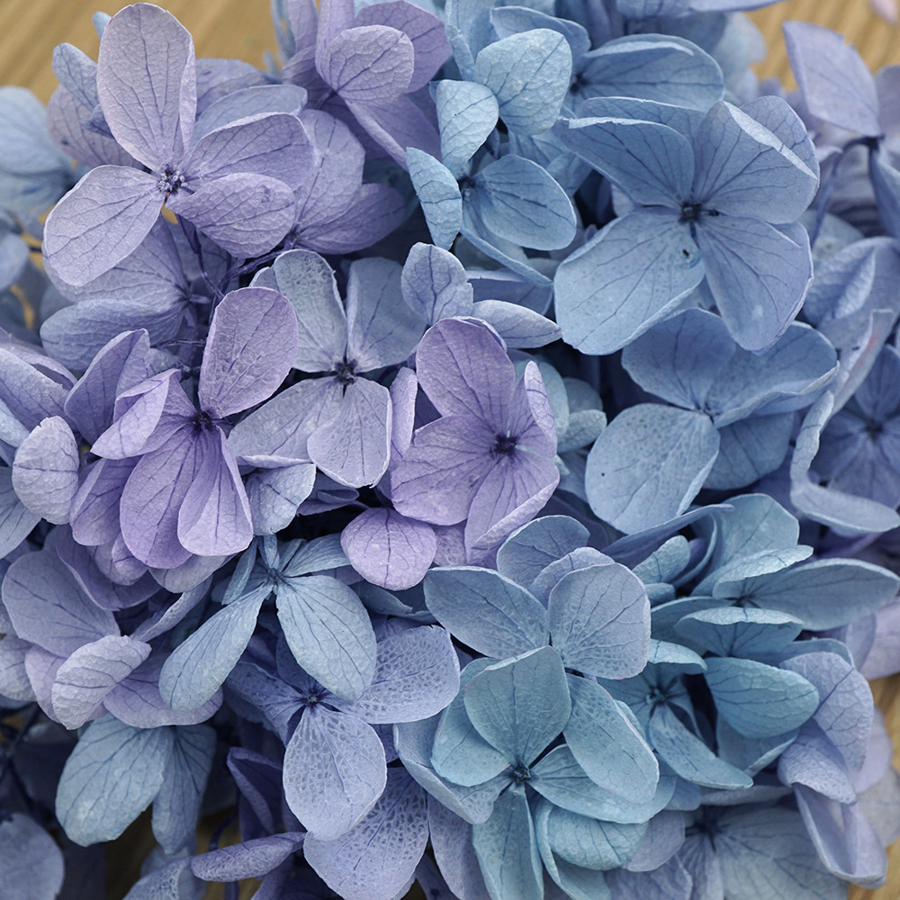 Flor mágica Diy Flor eterna A Material de hortensia de madera 100g Material de flor real Flor seca Unicornio Sentido avanzado Matrimonio en casa