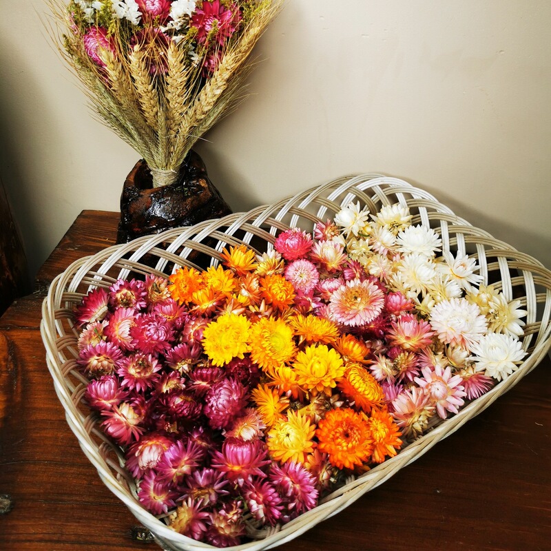 雲南の源の工場のばら売りの菊の頭の手作りの材料の乾いた花の麦わらの菊の花の頭はコスモスの七色の菊を卸売りします。|undefined