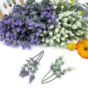 �羳���Q���滨���m��С���������@��c�Ҿ��bٻ��[��