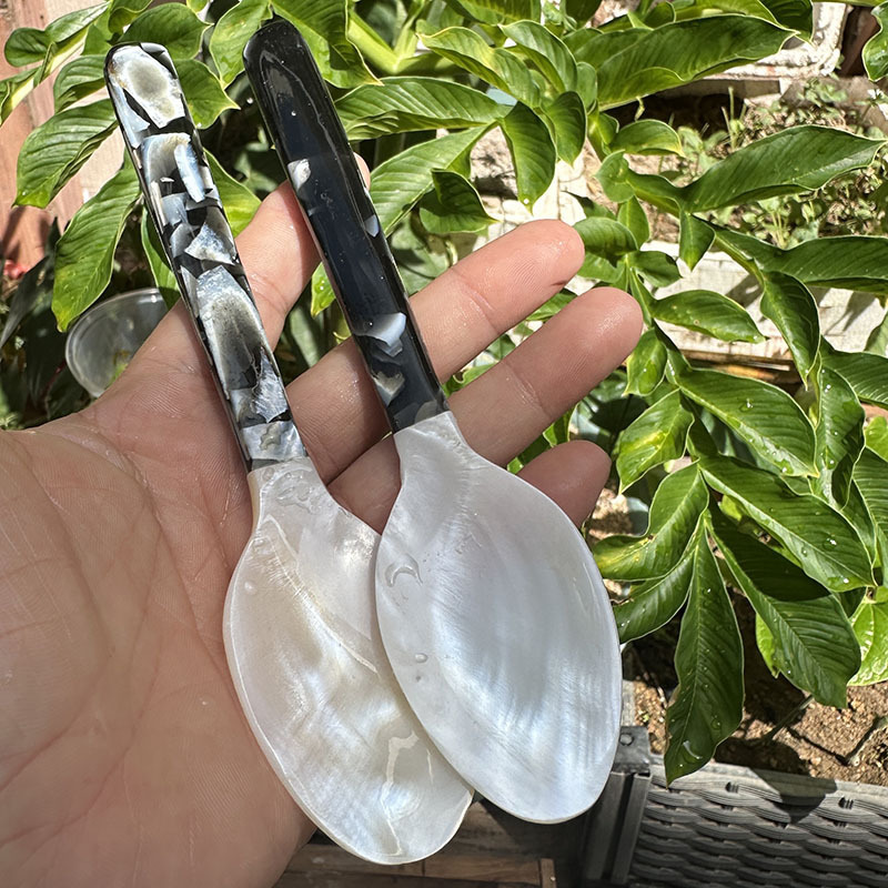 Vietnamese Handmade Floral Black Shell Spoon with Handle, Handmade Craft Spoon Set, High-End Exquisite Tableware Wholesale Vietnamese Handmade Floral Black Shell Spoon with Handle, Handmade Craft Spoon Set, High-End Exquisite Tableware Wholesale