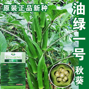 �;Gһ̖����N���S����Ѽt���ˮ������N���ļ�����ɫ�߲˷N��