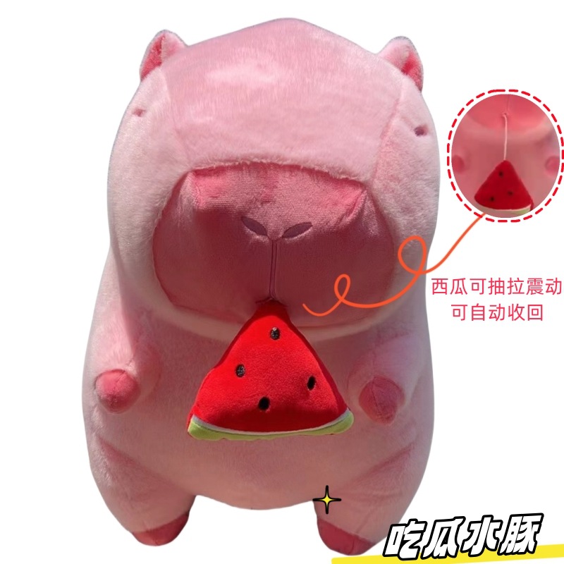 멜론을 먹는 카피바라