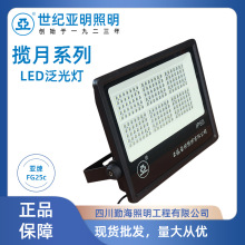  FG25C LEDͶ  300W 400W 500W