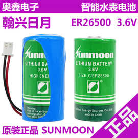 日月3.6V锂电池ER26500计量表煤气表流量计容量型物联网智能水表