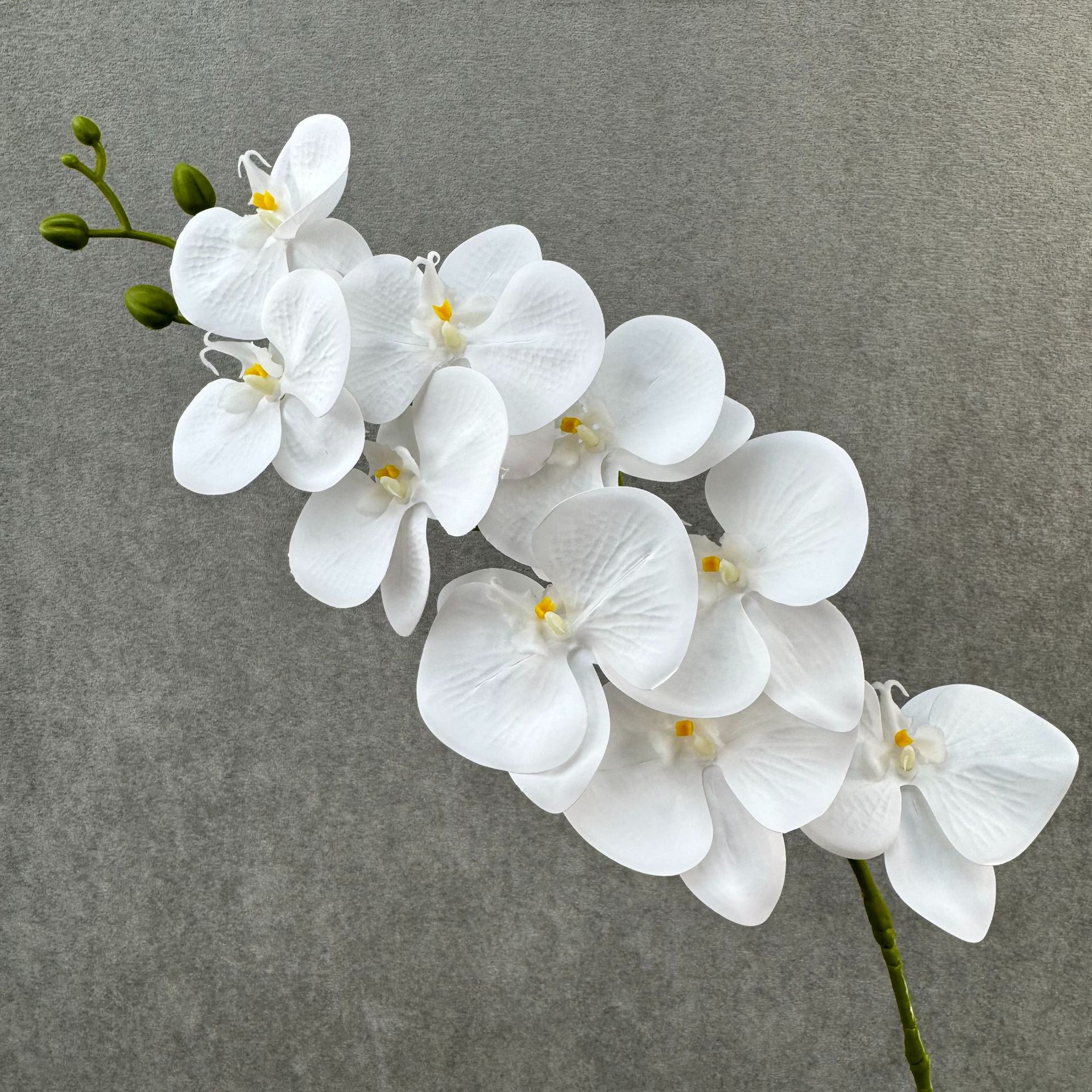 Pure white