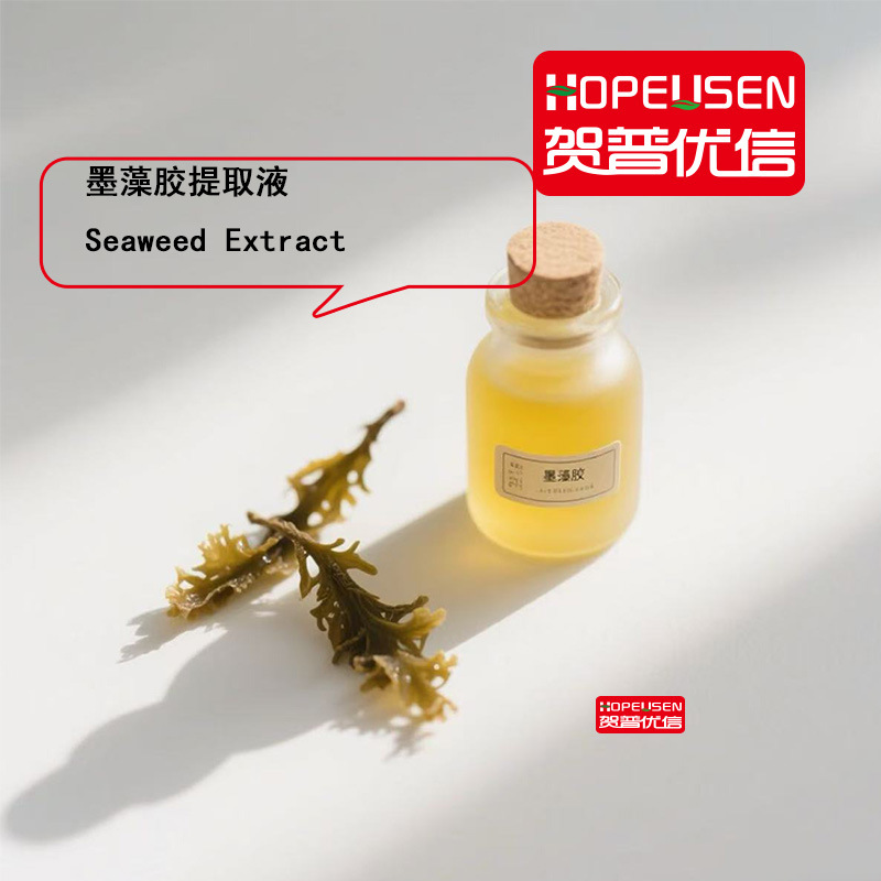 墨藻胶 墨角藻提取物 液体 粉体 化妆品级 多糖 盐生杜氏藻