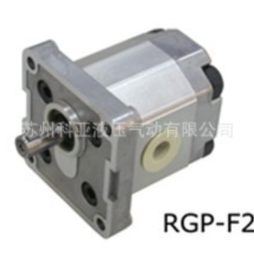 台湾锐力REXPOWER油泵RGP-F304RN RGP-F306RN 欢迎询价