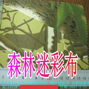 �޲��Բʲ�ɭ�֘��~�Բ�ӡ�����޴���Բʷ��b��