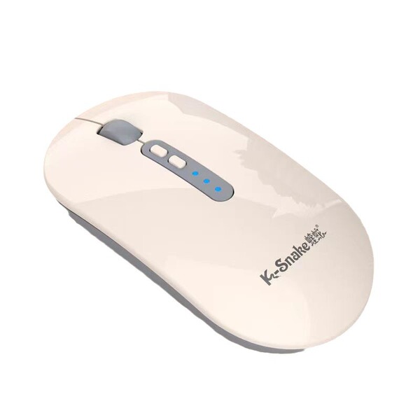 Mute wireless mouse
