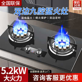 批发 九腔燃气灶双灶家用天然气台嵌式炉具液化气煤气灶猛火炉头