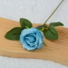 Blue (silk cloth)