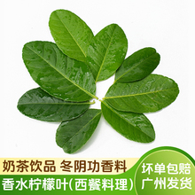 ���r��ˮ�����~�̲��Ʒ̩ʽ��ꎹ����ϻ�停������͔[�P�b�ʳ��