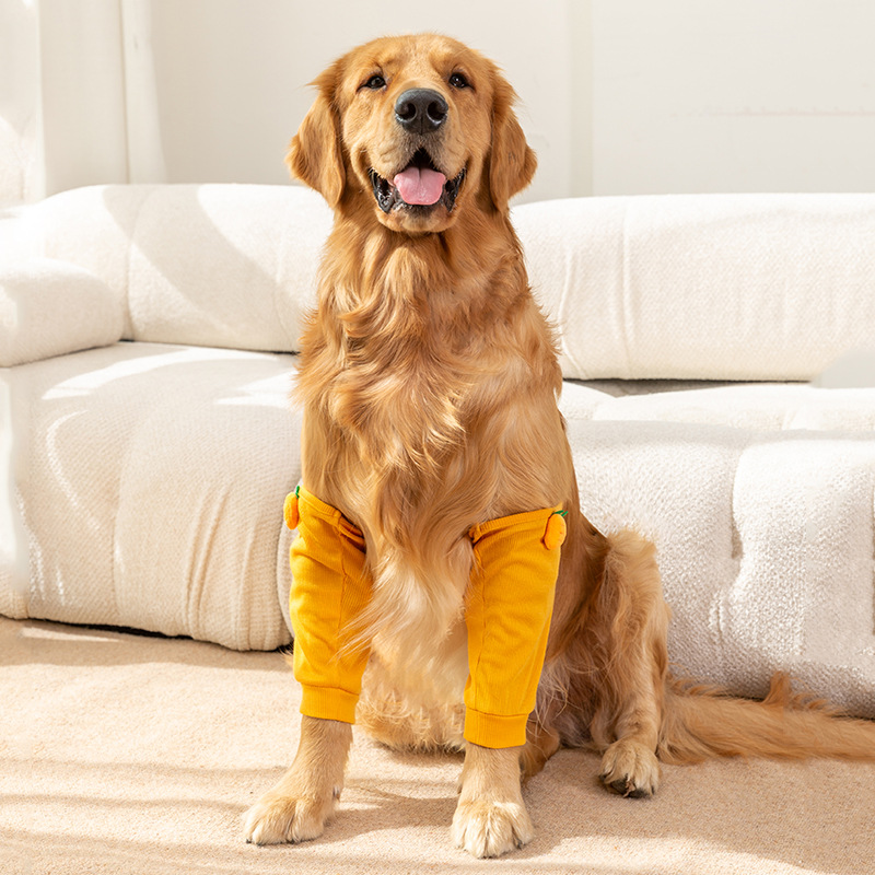 Perro grande divertido costilla leggings ropa mediano y grande perro golden retriever rodilla protección de la rodilla mascota Samoyedo ropa cubierta de la pierna