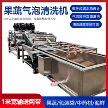 定制银耳菜气泡清洗机 辣椒丝油菜涡流清洗机 臭氧去农残清洗机器