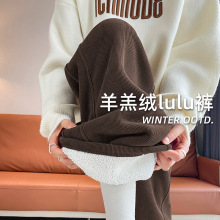 lulu同款羊羔绒阔腿裤女秋冬加厚雪尼尔直筒裤子2024新款过冬棉裤