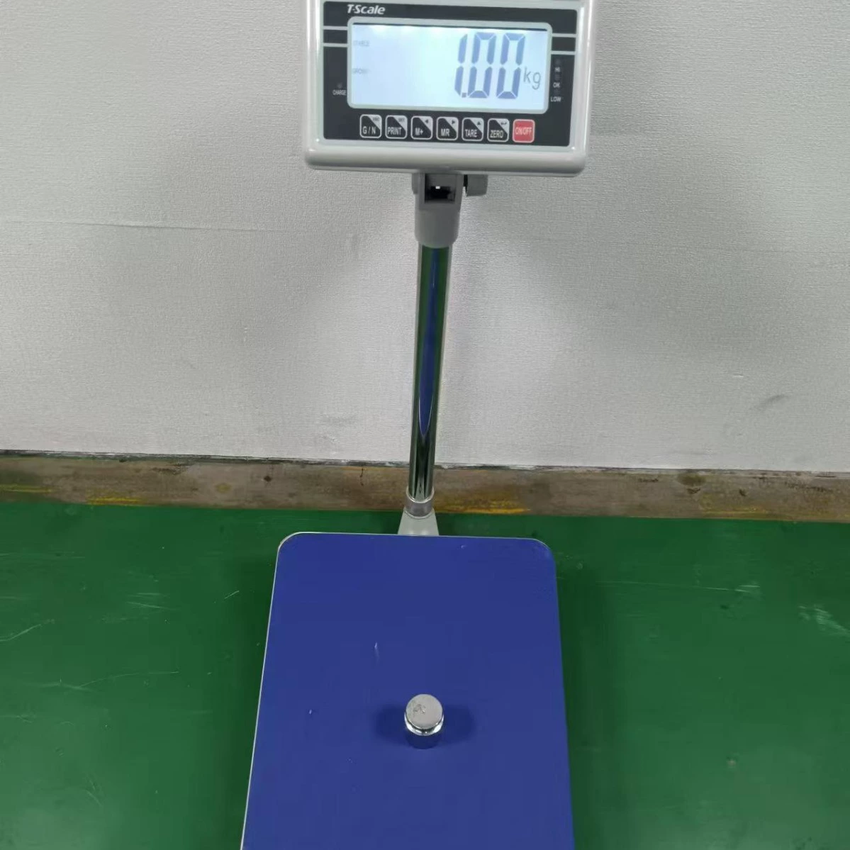 Европейская версия BW электронные настольные весы с напряжением 110V для европейского США BW Instrument T-sale