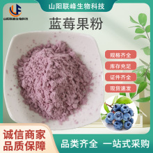 sc厂家蓝莓果粉水溶蓝莓水果浓缩粉提取物蓝莓汁花青素食品级
