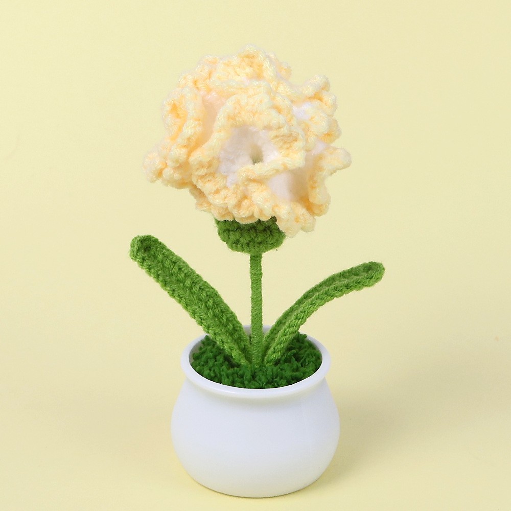 Carnation en pot - amarillo