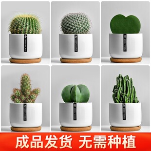 ����ֲ�������������҃�����������С�����ļ����B����Gֲ����ȩ