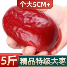 红枣新疆和田大枣5斤玉枣子免洗骏枣零食特产孕妇干果包邮