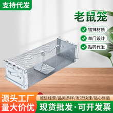 双门镀锌老鼠捕鼠器养鸡场窝围栏网防大小老鼠陷阱黄老鼠笼贴码