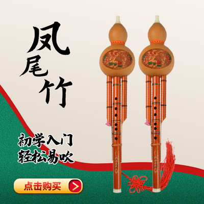廠家直供鳳尾竹葫蘆絲批發C調降B調成年人自學演奏型葫蘆絲