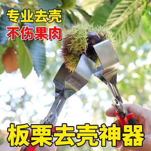 Chestnut peeling device chestnut peeling ball peeling pick chestnut peeling ball shell peeling tool chestnut clip peeling device