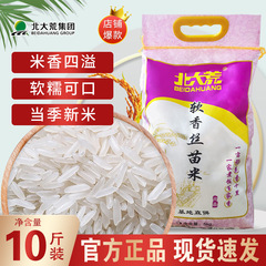 北大荒軟香糸苗米2.5kg 5斤10斤編組袋50斤入米新米長粒米