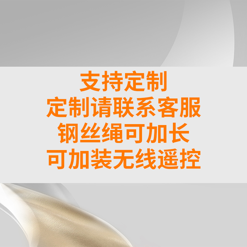 수정된 와이어 로프 무선 원격 제어 고객 서비스에 문의하십시오.