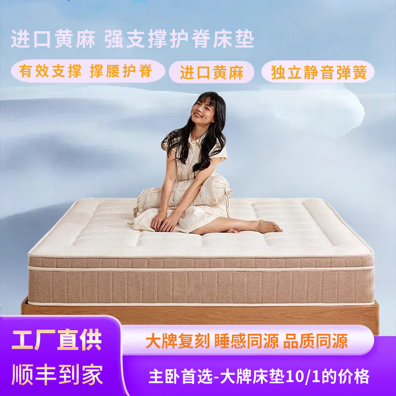 床垫家用卧室进口黄麻强支撑护脊床垫租房专用宿舍软垫席梦思床垫