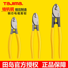 ��u��|���Qtajima��|�Q 6������Q���|�Q��늹�������Ƥ���Q��