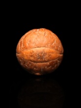 �P������ԭ��ɢ������ִ��������A����Ů��朼tƤ����