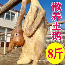 ��������Z�����������Z�D�Z�r��ɢ�B���B�L���Z�ۿh�ֹ����Ʋ��Z